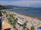 夏は海水浴!
