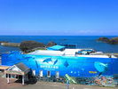 【越前松島水族館】