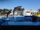 【越前松島水族館】
