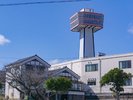 【東尋坊タワー】