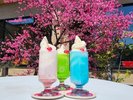 大人気!さっぱりとした味わいの源泉ソフトクリーム