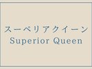 【禁煙 スーペリアクイーンルーム】