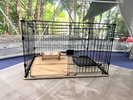 パンプキン/ペット用品