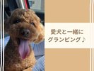 愛犬も一緒にグランピング♪