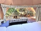 TASO FOREST CAMP:モンブラン_室内