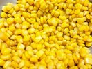 コーン【朝食】飛騨のうまいもん朝食(ご利用可能時間・6:30〜9:30)