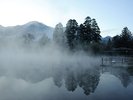 朝靄の金鱗湖