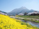 春の湯布院