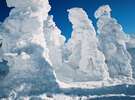 【蔵王】樹氷 Snow Monster