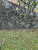 霞城公園内を探してみてください♪