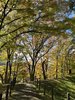 霞城公園参道