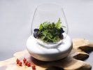 シャトーディナー(イメージ)※お食事はシャトーT.Sレストランナパ・バレーにて
