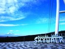 【周辺観光】三島スカイウォーク