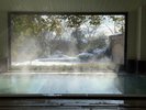雪景色を望む冬の内湯