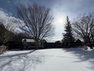 雪景色に包まれる冬の中庭