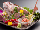 �x�͉�ȁ@Suruga Kaiseki-3