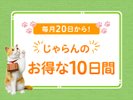 ������10����