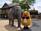 ���R���A�����i�ʐ^�񋟁F�i�����j���É��ό��R���x���V�����r���[���[�j