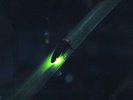 6月の風物詩「ホタル」イメージ