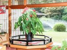 ロビー|日本庭園を眺めながらごゆっくりとおくつろぎ下さい
