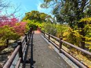 福知山ろく『花公園』〜森の中の架け橋〜