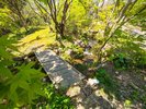 福知山ろく『花公園』〜森の散歩道〜