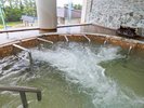 1F男性大浴場「モーレ」