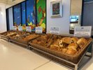 【朝食マルスコイバイキング】充実した種類のベーカリーコーナー(イメージ)