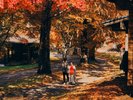 【ホテルエリア】秋には紅葉の風景の中を散策