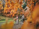 【特典】紅葉シーズンまでレンタサイクルを楽しめます