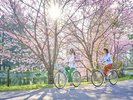 【特典】4〜10月下旬までレンタサイクルが無料