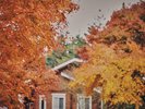 テラスタイプ 外観 秋には美しい紅葉がお楽しみいただけます