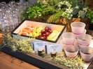 フルーツ&デザートブース 朝陽を浴びながら、清々しい朝食体験を