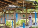 風鈴の小径(夏季イベント)/外通路や館内に美しい風鈴を展示