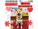 音心ちゃん♪