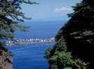 城ヶ崎海岸。スリル満点の吊橋。