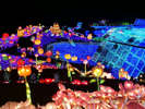 日本一のイルミネーション「ぐらんぱる公園」の”グランイルミ”