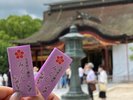 周辺観光/【太宰府天満宮】豊かな自然が感じられるよう、四季折々の植物をイメージした色付きおみくじ