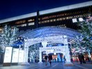 周辺観光/【博多駅(冬)】14.9mシンボルツリーや62万球壮大なイルミネーション/提供:福岡市