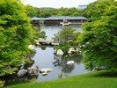 美しい紅葉や季節の花が彩る庭園。写真映えも抜群です。
