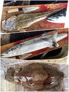 ���苙�`���g���R�`�A�T�����A�����S�C�J