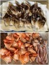 �S�����g�����L�ƐԊL�̉��n��