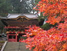 日光山輪王寺 大猷院(仁王門、紅葉)