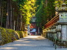 東照宮の参道