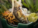 月ごとに替わるお献立は当日のお楽しみ ※季節や仕入れ状況によって食材は変わる場合がございます