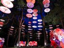 鬼怒川温泉 月あかり花回廊