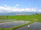 市内の田園地帯を走り抜けるJR小海線