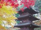 紅葉と貞祥寺の三重塔