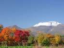 晩秋の浅間山