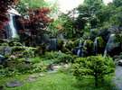 夏の庭園